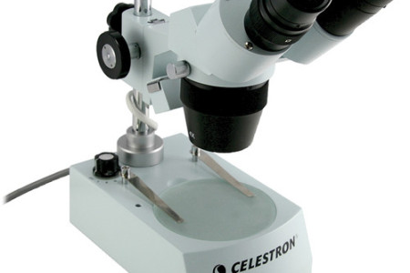 Celestron Advanced Stereo Microscope