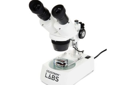 Celestron Microscopio LABS S-1060